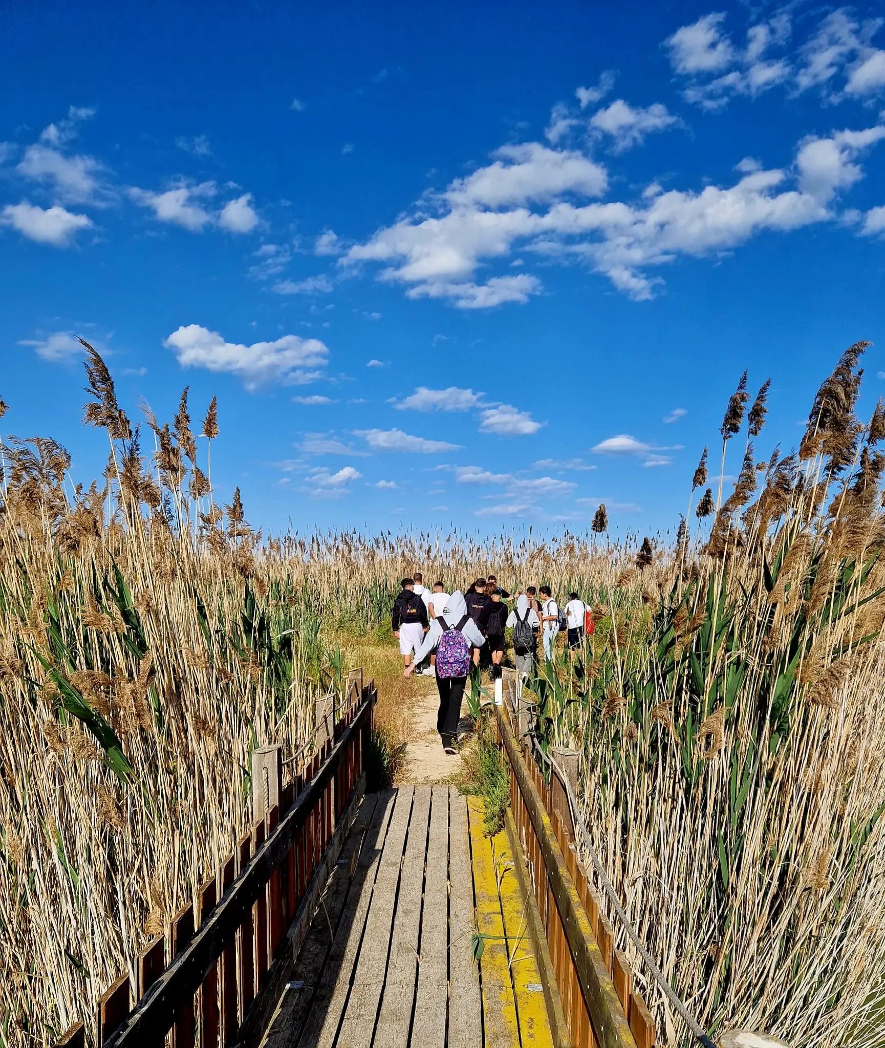Trekking nel Parco