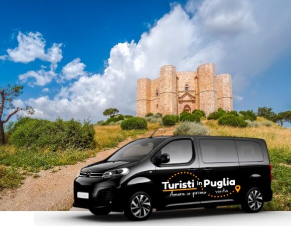 Tour organizzato da Trani a Castel del Monte [privato]